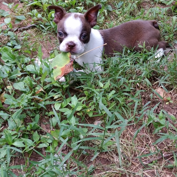 Meet your Posher, Seasun2375 - Picture 2 of 6